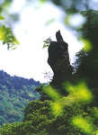山水武宁 乡村旅游