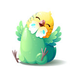 小鸡