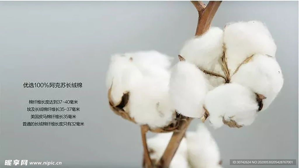 棉花