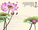 素雅荷花背景