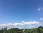 蓝天