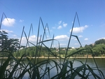 公园的蓝天