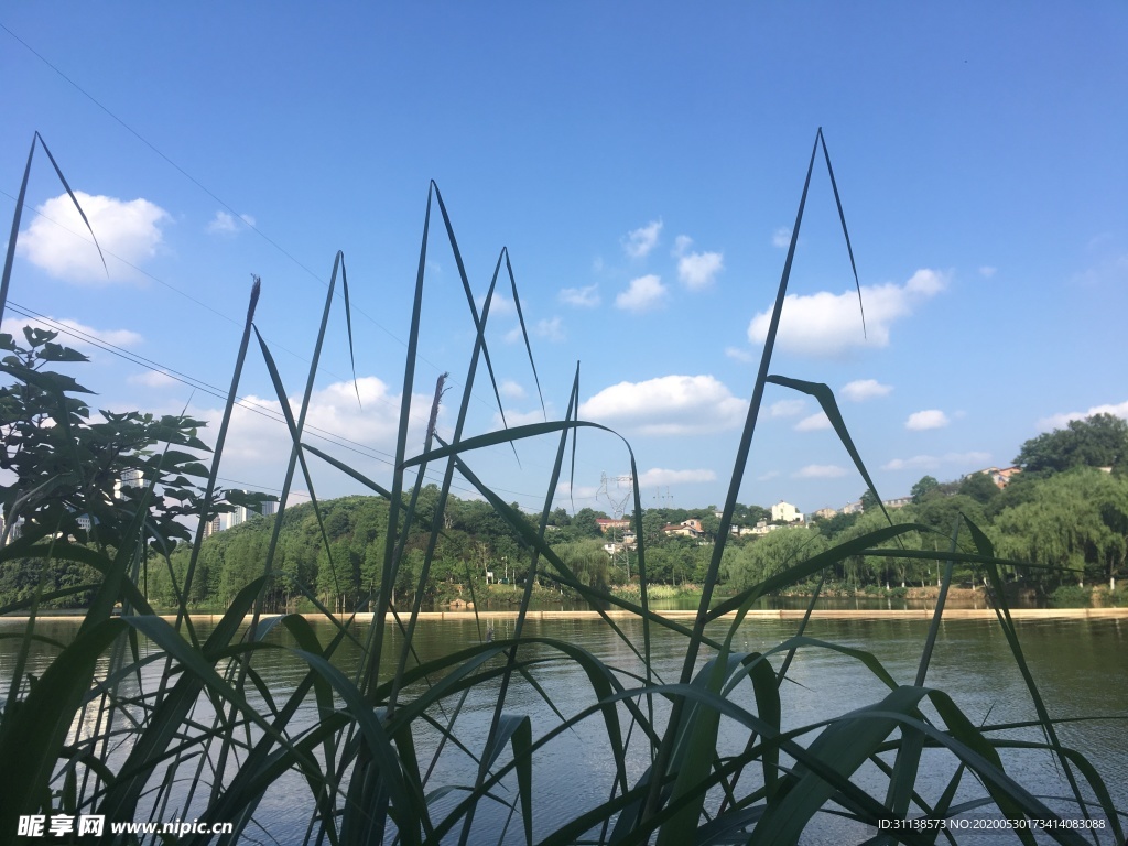 公园的蓝天