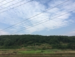 乡村的天
