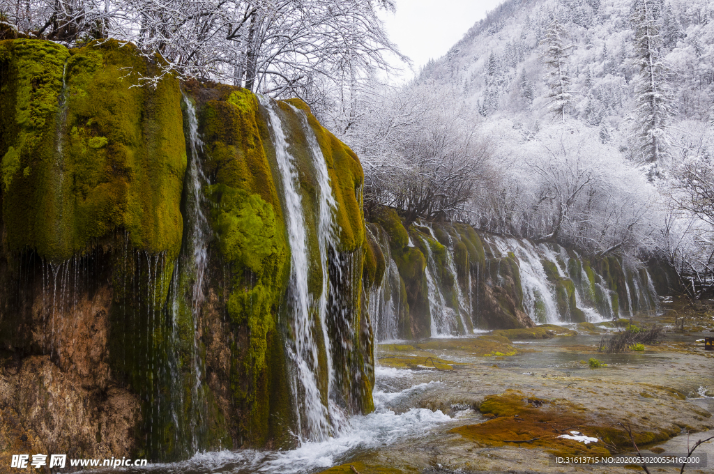 九寨沟箭竹海瀑布雪景