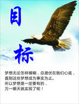 目标