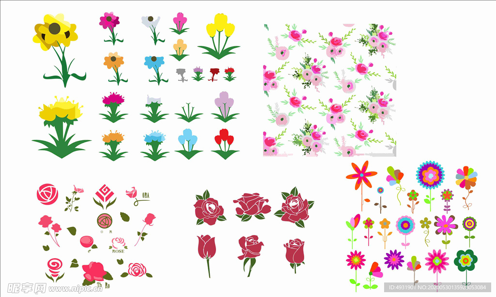 卡通花 夭量花