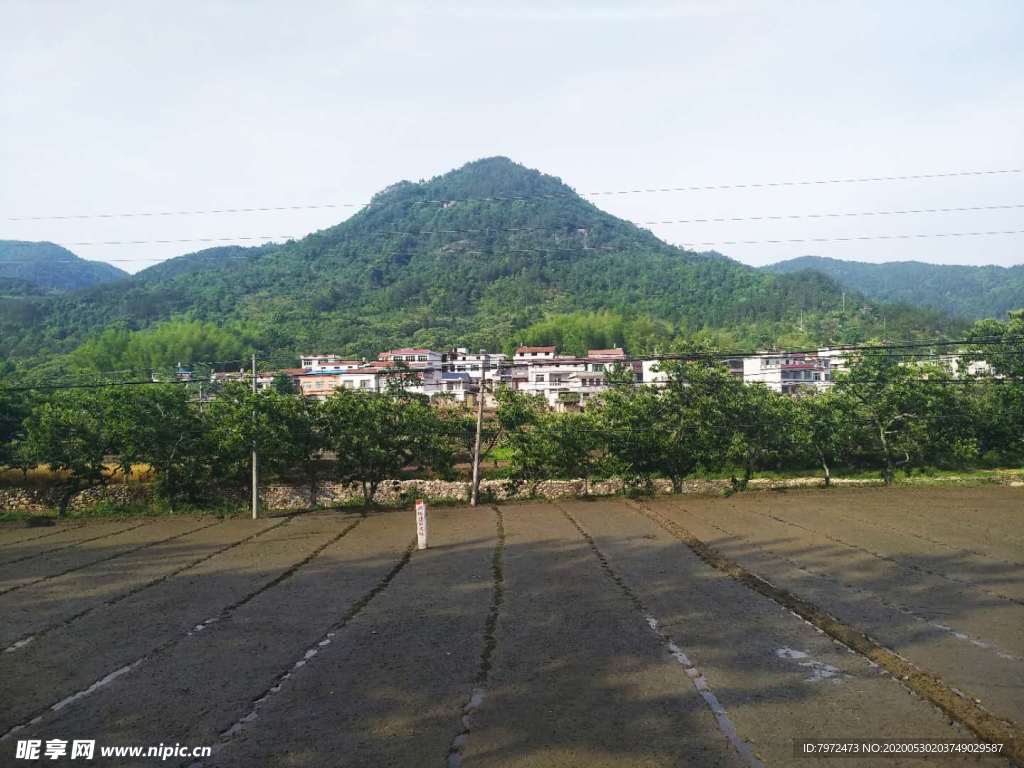 田园风光