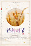 芒种