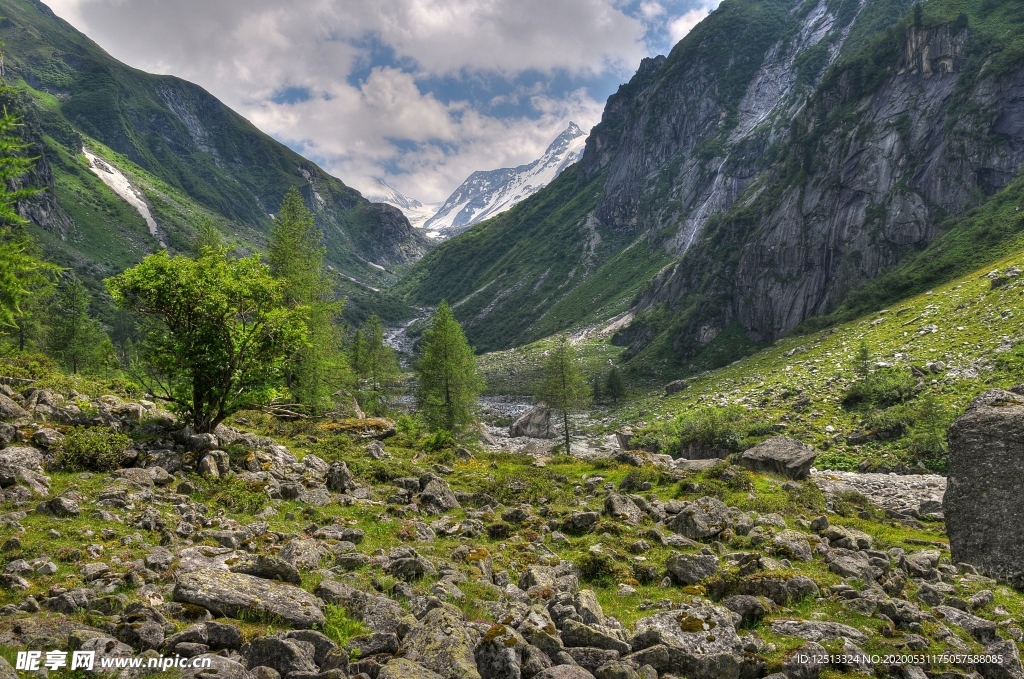 山