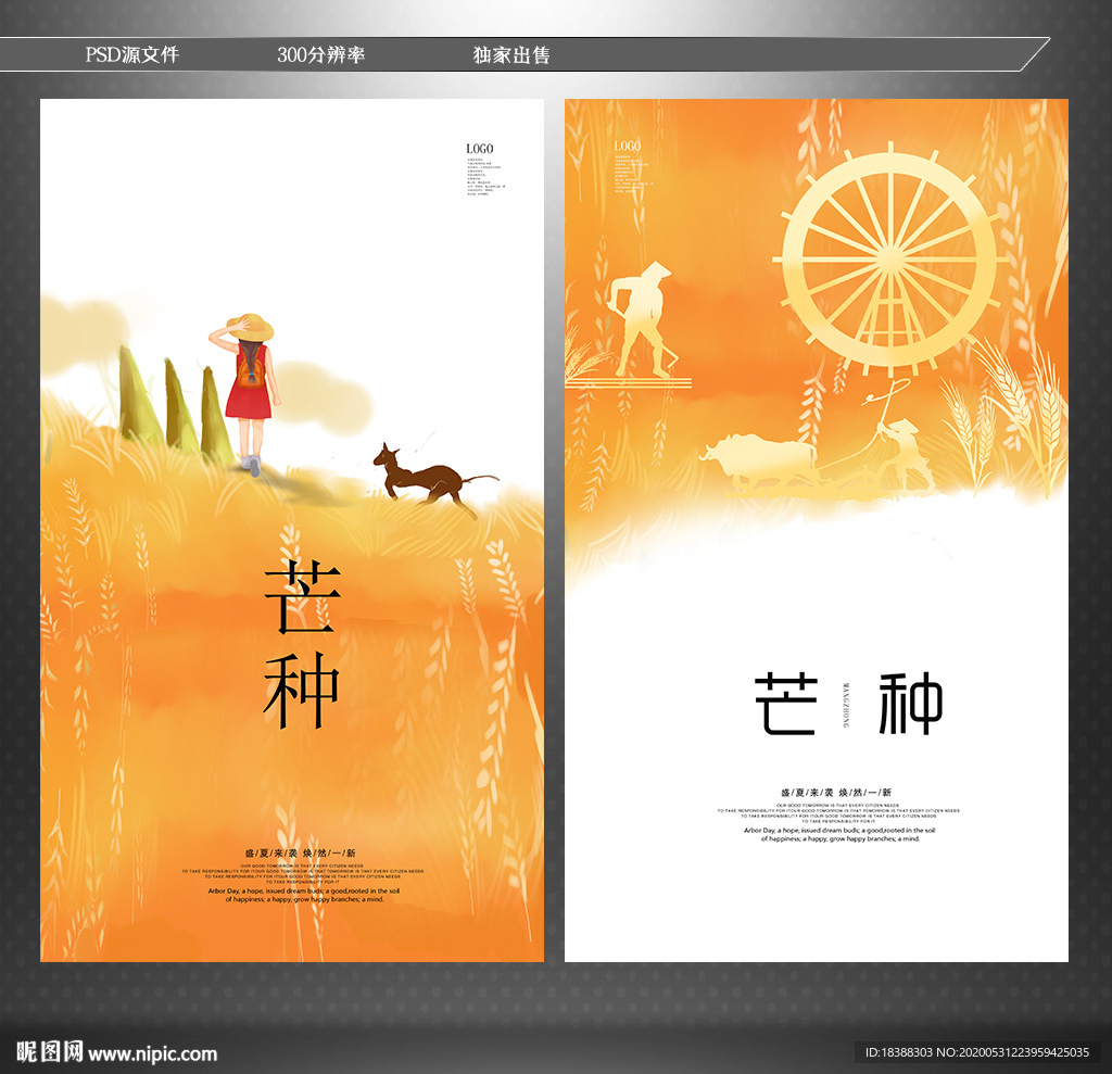 芒种 二十四节气
