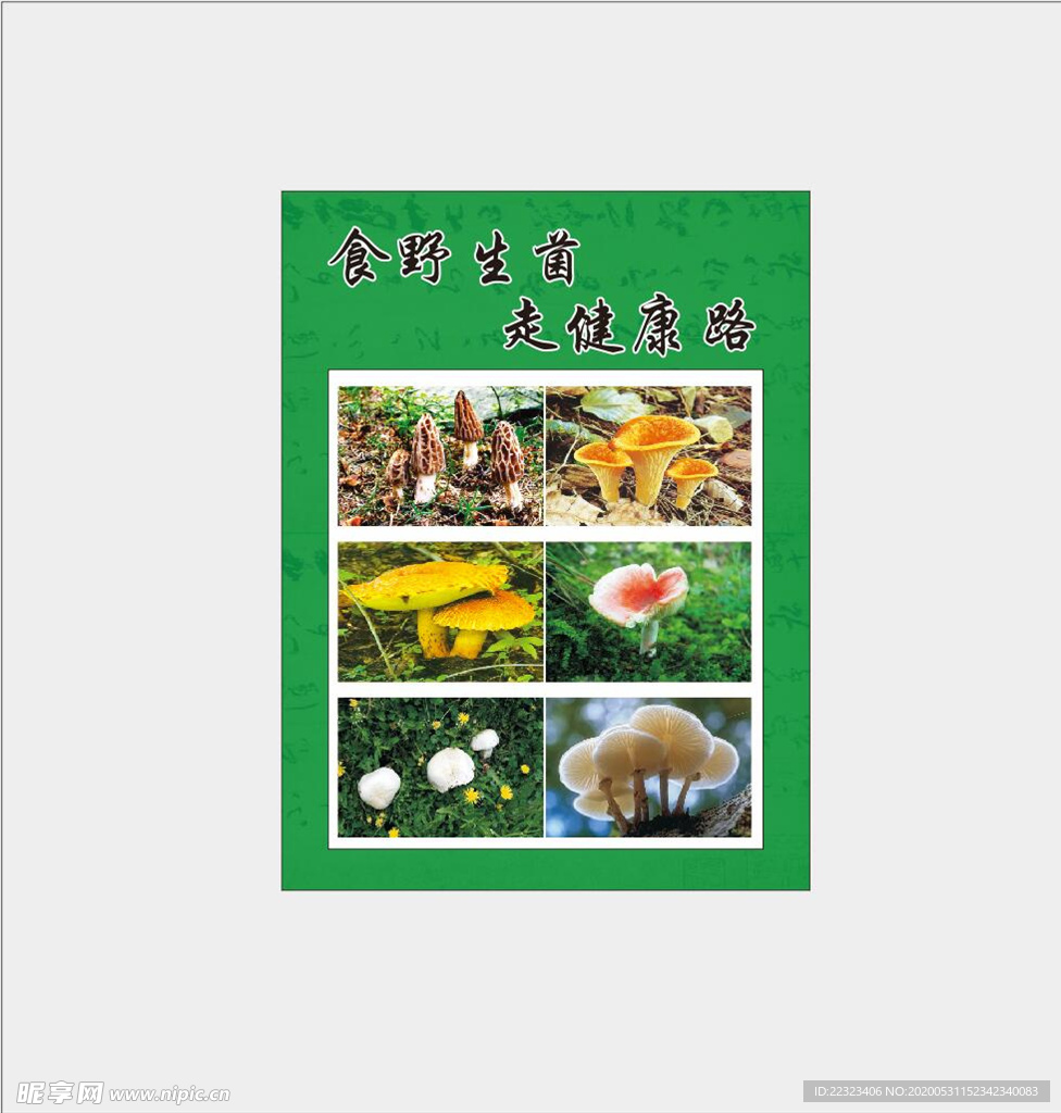 野生菌