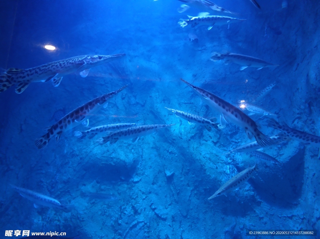水族馆