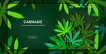 绿叶边框卡片