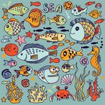海洋动物