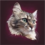 卡通猫咪