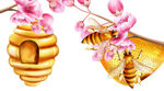 蜜蜂蜂蜜