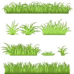 绿植草丛