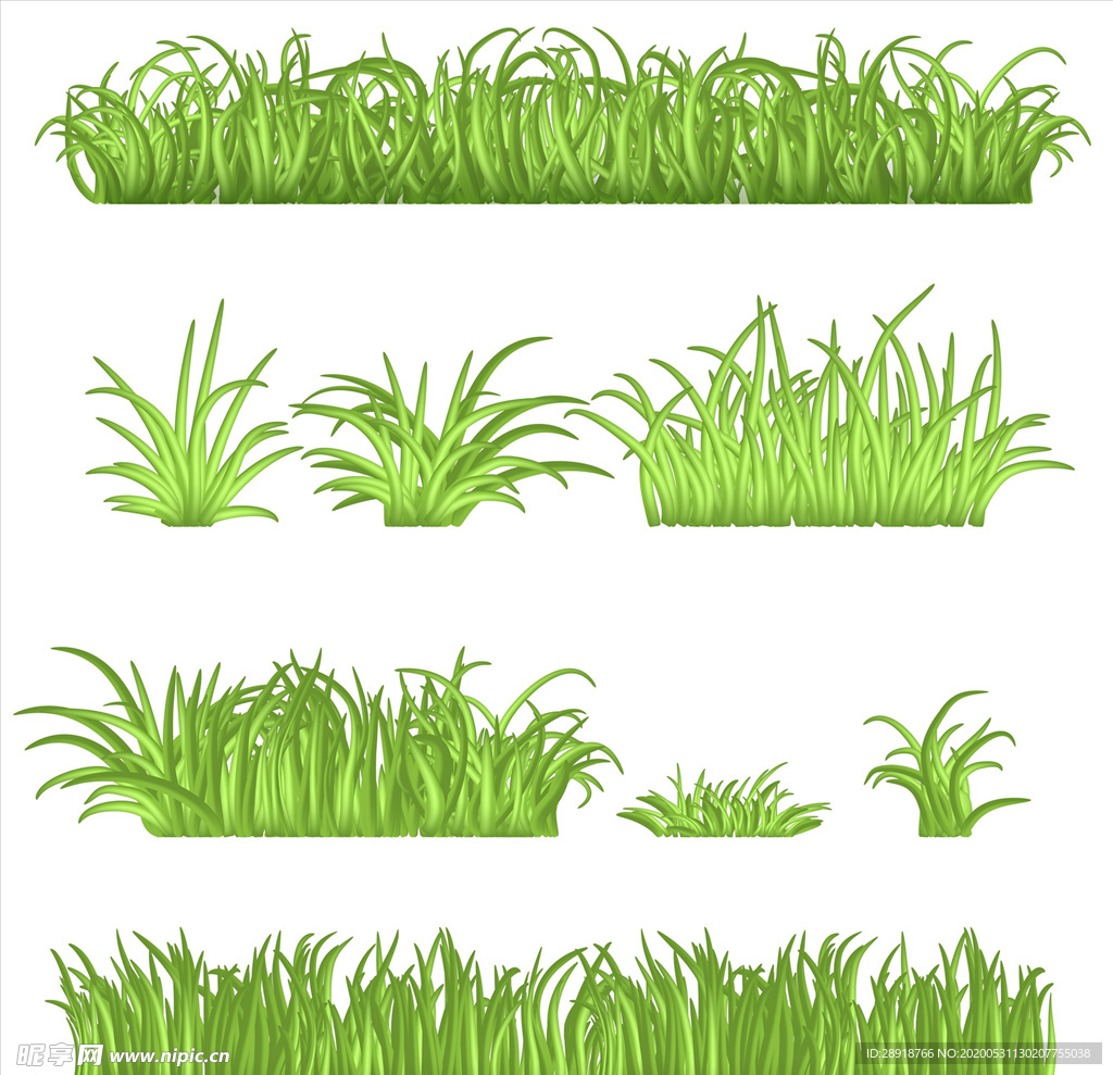 绿植草丛