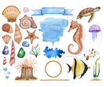 海洋生物