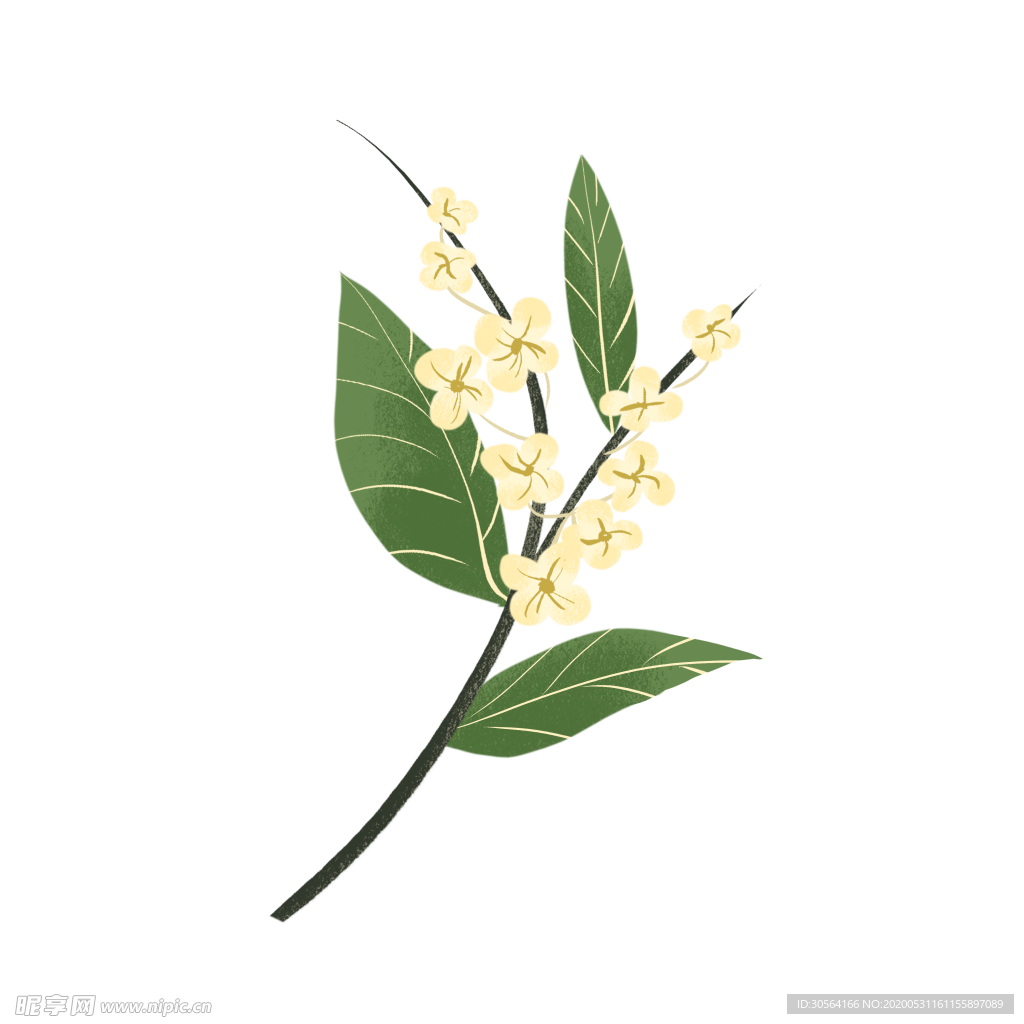 桂花八月半月饼海报素材