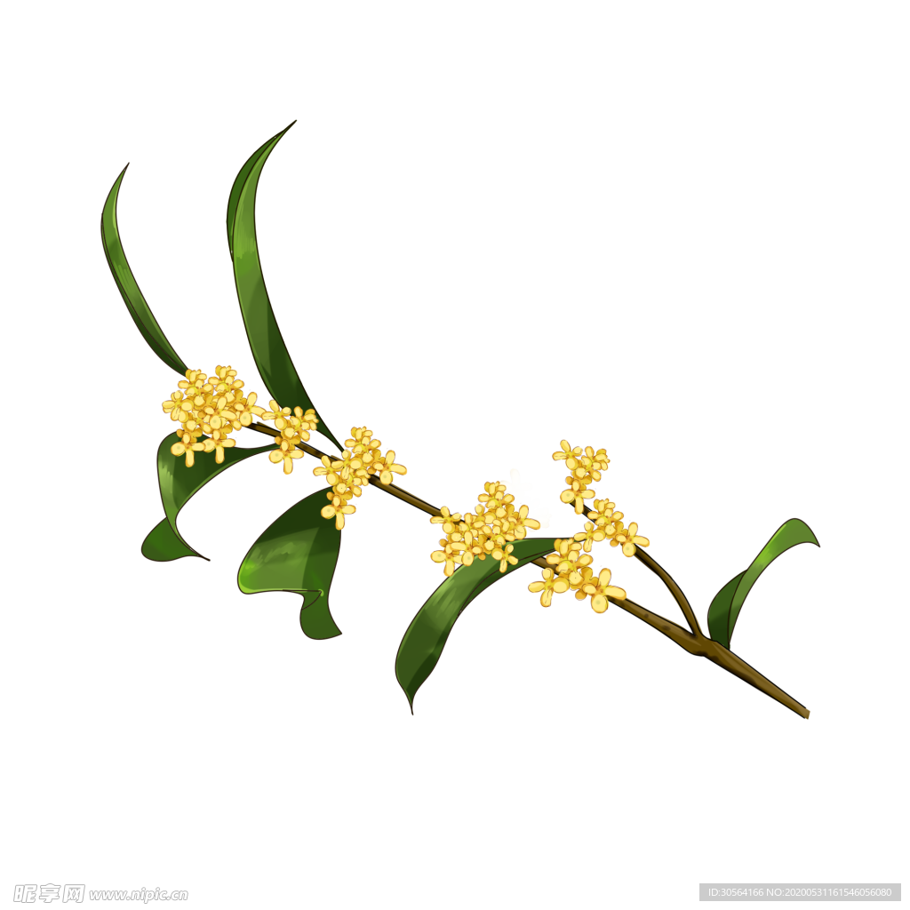 桂花八月半月饼海报素材
