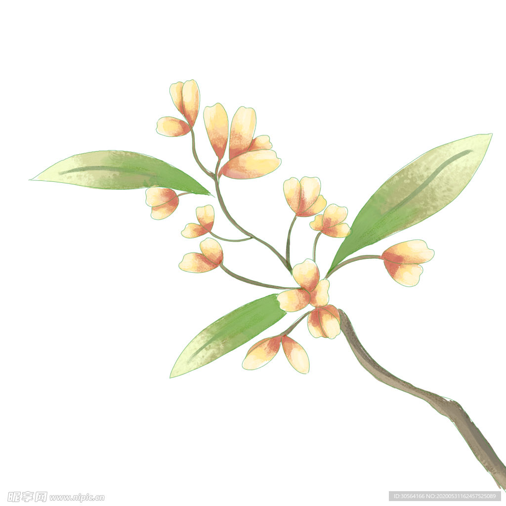 桂花八月半月饼海报素材