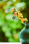 立秋桂花节气传统活动海报展板