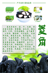 菱角作用展板海报