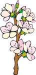 花