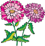 花