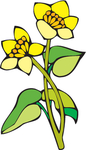 花