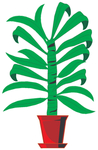 植物