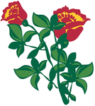 花