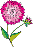 花