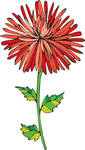花