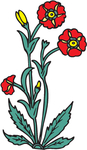 花