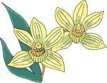 花