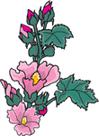 花