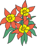 花