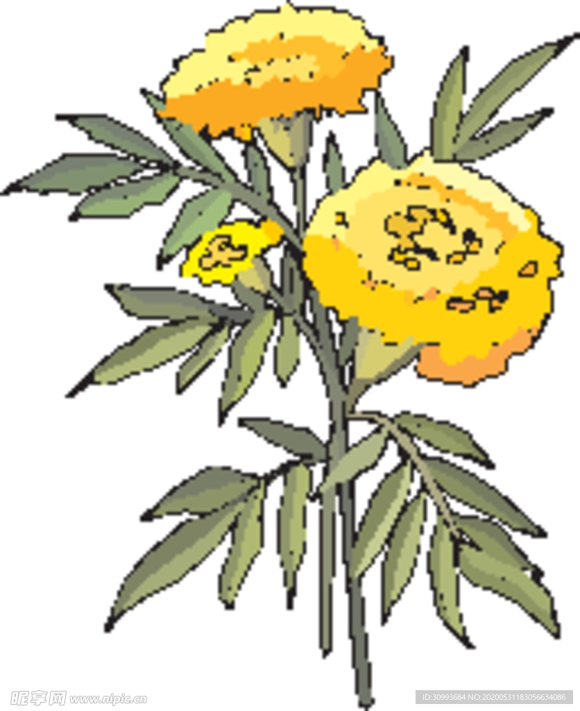 花