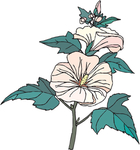 花