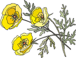花