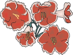 花