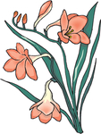花