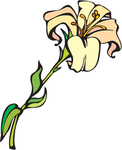 花