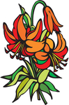 花