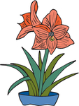 花