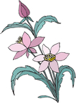 花