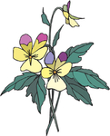 花